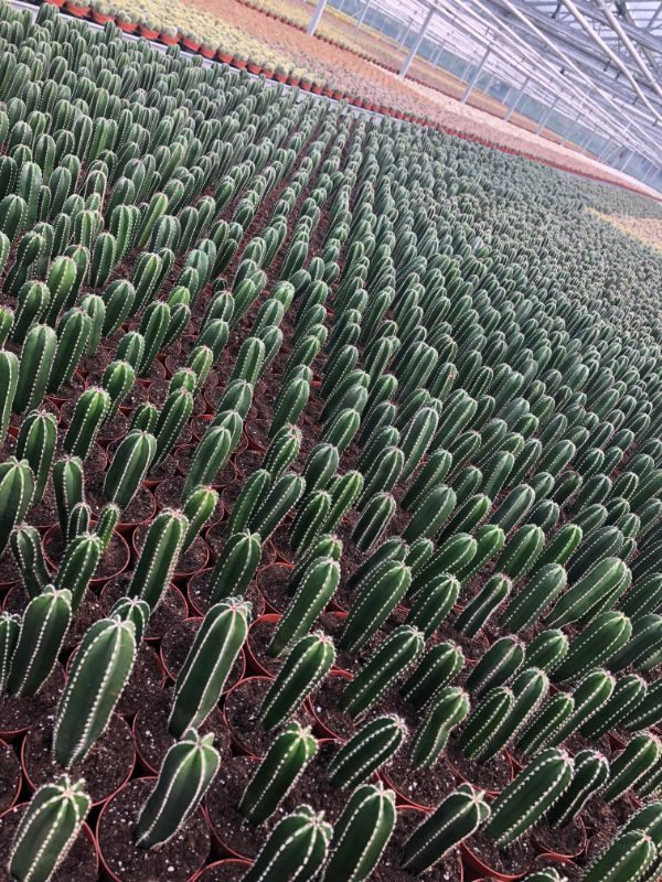 Photos For Perfectionists (23 pics)