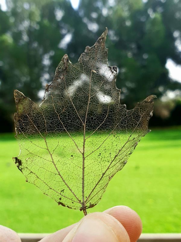 Photos For Perfectionists (23 pics)