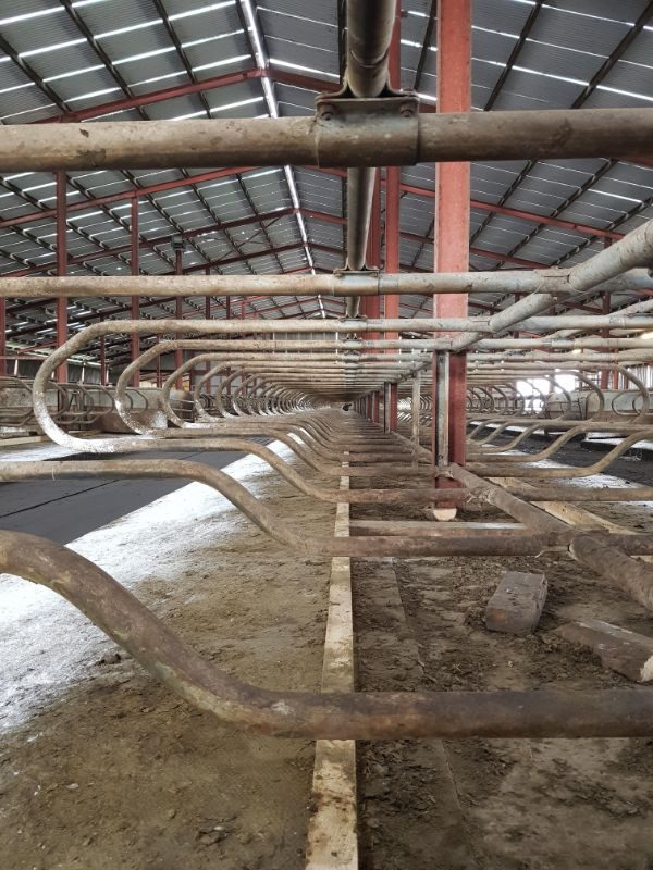 Photos For Perfectionists (23 pics)