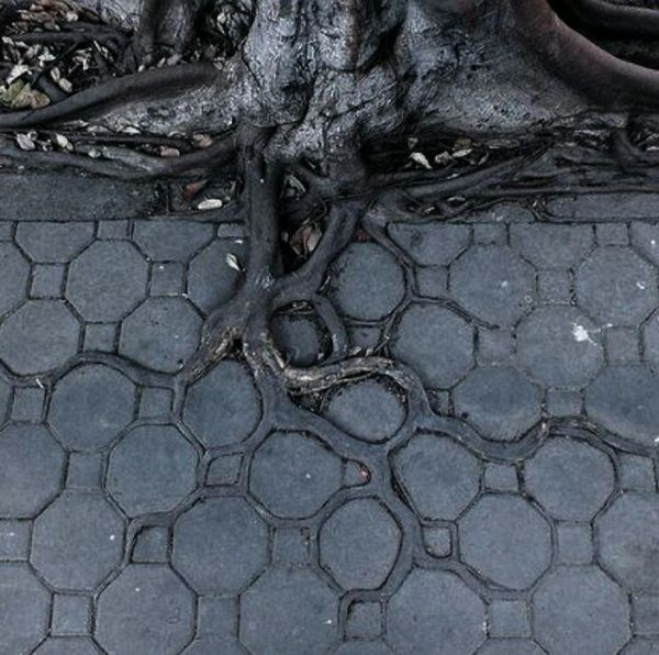 Photos For Perfectionists (23 pics)