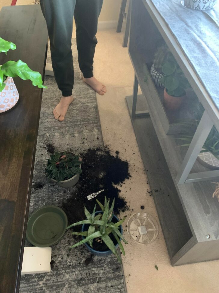 Bad Days Happen (22 pics)