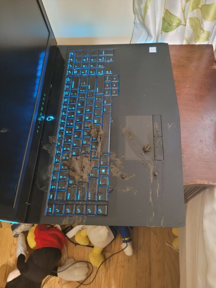 Bad Days Happen (22 pics)