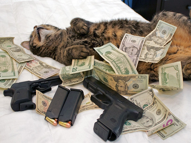 Gangster Cats (21 pics) Gangster Cats (21 pics)