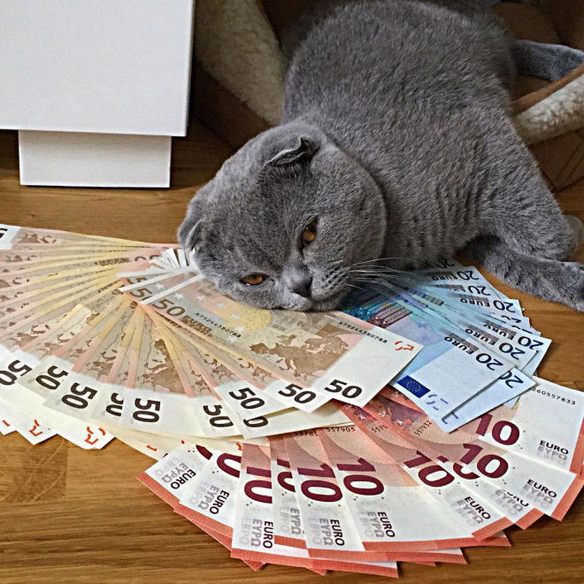 Gangster Cats (21 pics) Gangster Cats (21 pics)
