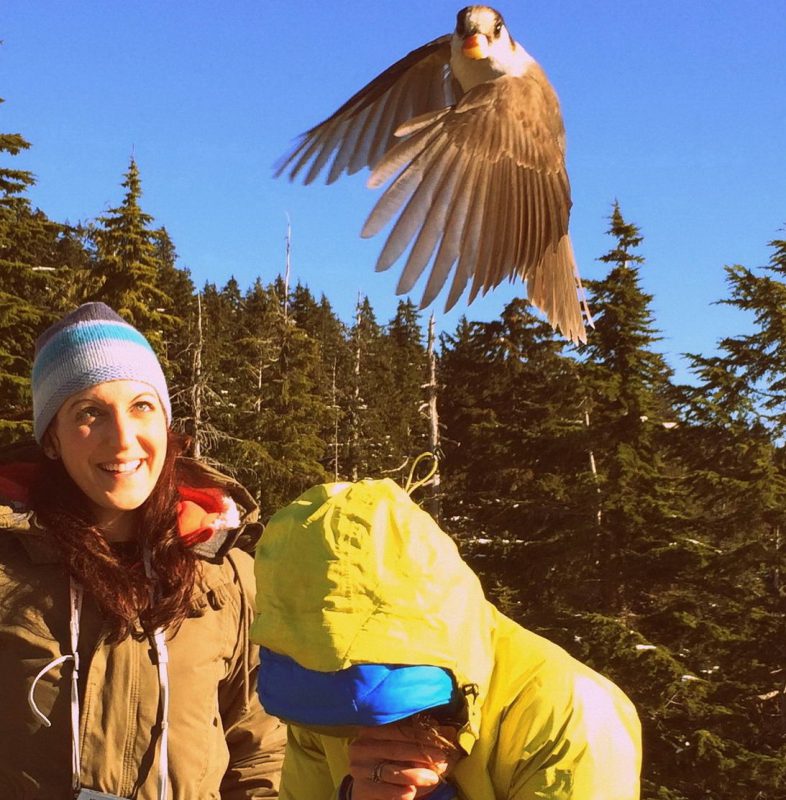 Right Moment (21 pics)