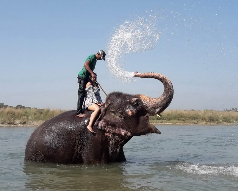 Right Moment (21 pics)