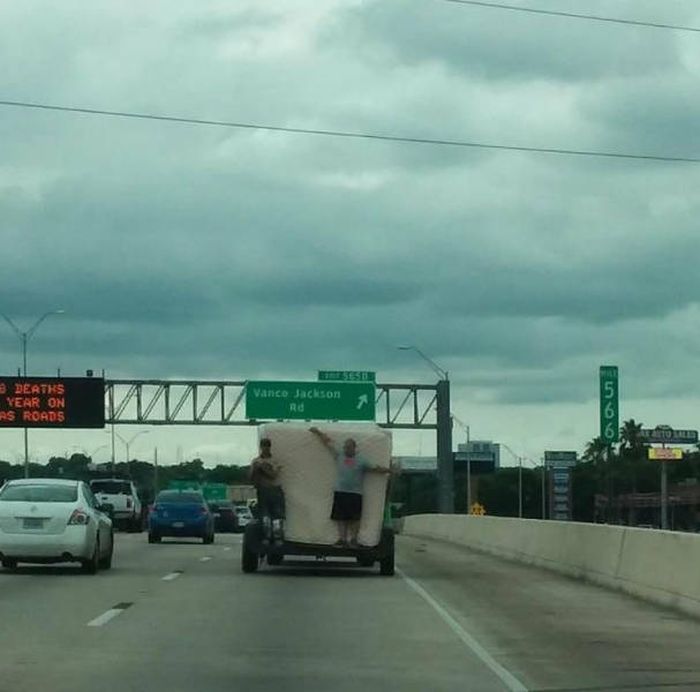 Daily Pictures. Part 1 (62 pics)