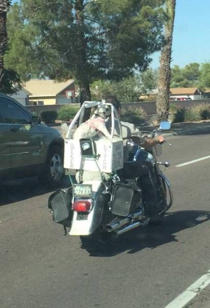 Daily Pictures. Part 1 (62 pics)