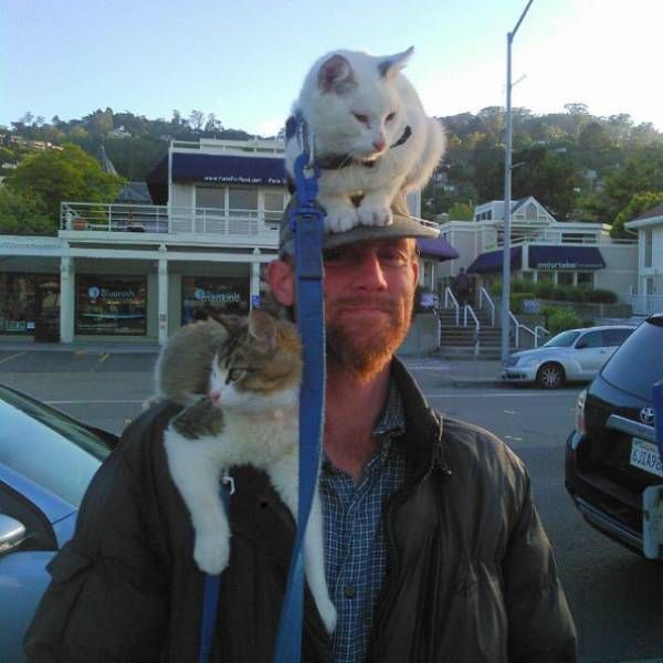 Daily Pictures. Part 2 (61 pics)