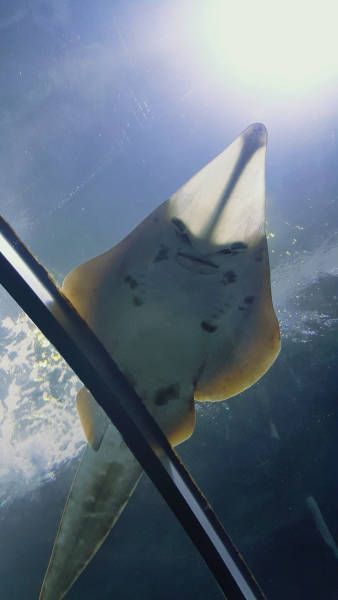 Daily Pictures. Part 1 (62 pics)