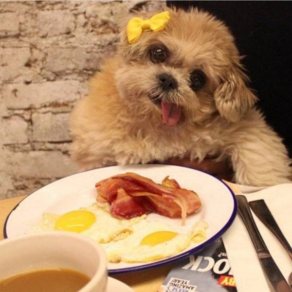 Daily Pictures. Part 1 (62 pics)