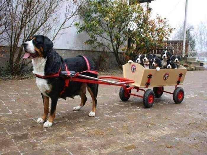 Daily Pictures. Part 1 (62 pics)