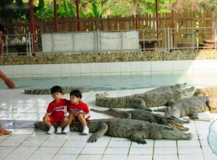 Daily Pictures. Part 2 (61 pics)