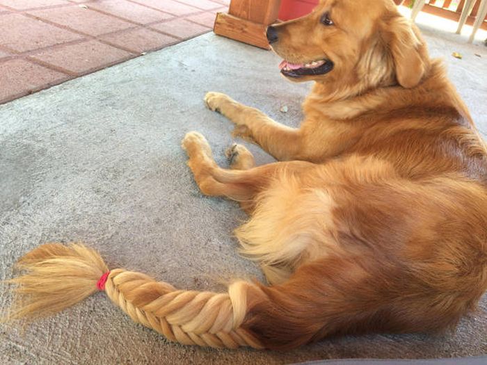 Daily Pictures. Part 1 (62 pics)