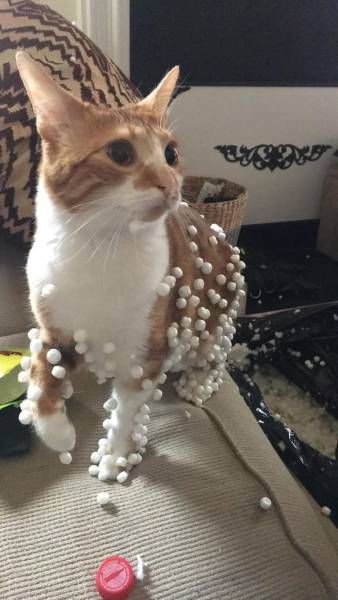 Daily Pictures. Part 1 (62 pics)