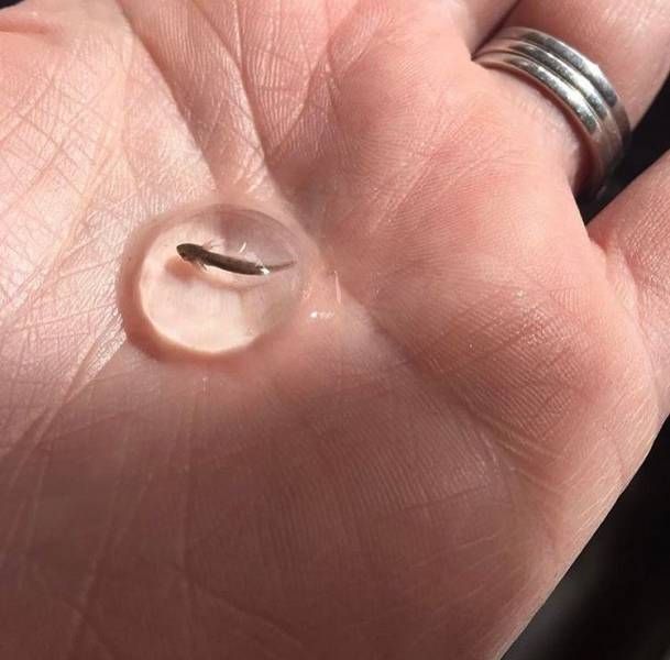 Daily Pictures. Part 1 (62 pics)