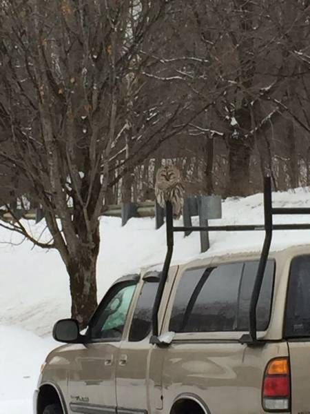 Daily Pictures. Part 2 (61 pics)