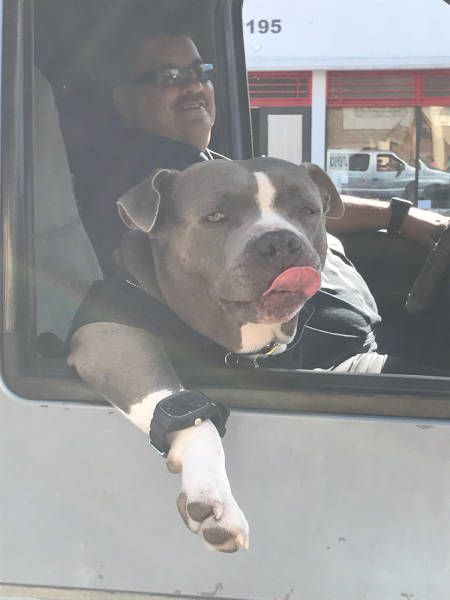 Daily Pictures. Part 2 (61 pics)