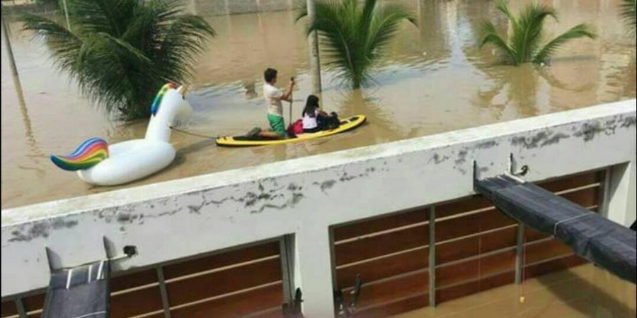 Daily Pictures. Part 2 (61 pics)