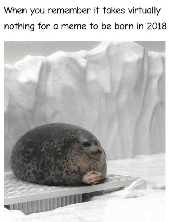 Daily Pictures. Part 2 (61 pics)