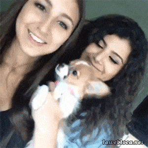 Acid GIFs, December 24 (25 gifs)