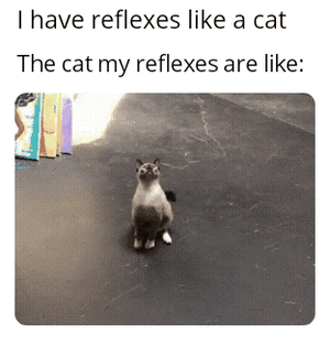 Acid GIFs, December 24 (25 gifs)