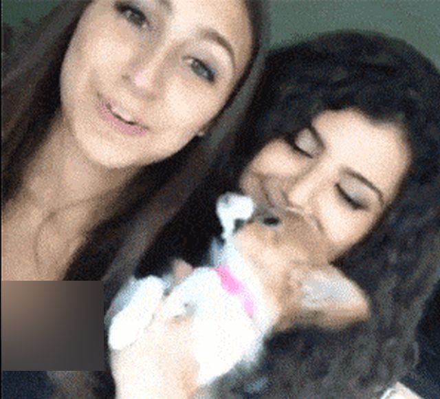 Acid GIFs, December 24 (25 gifs)