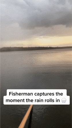 Acid GIFs, December 24 (25 gifs)