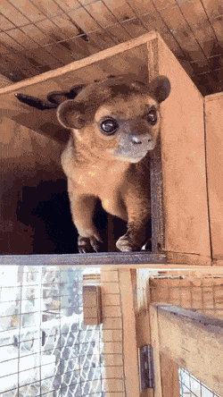 Acid GIFs, December 24 (25 gifs)