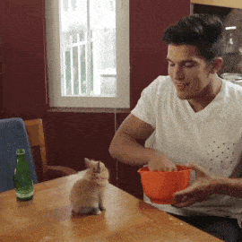 Acid GIFs, December 24 (25 gifs)