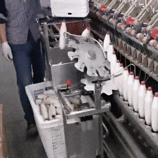 Acid GIFs, December 24 (25 gifs)