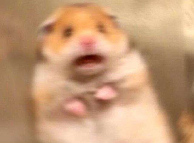 People Share Their Awkward Moments (14 pics)