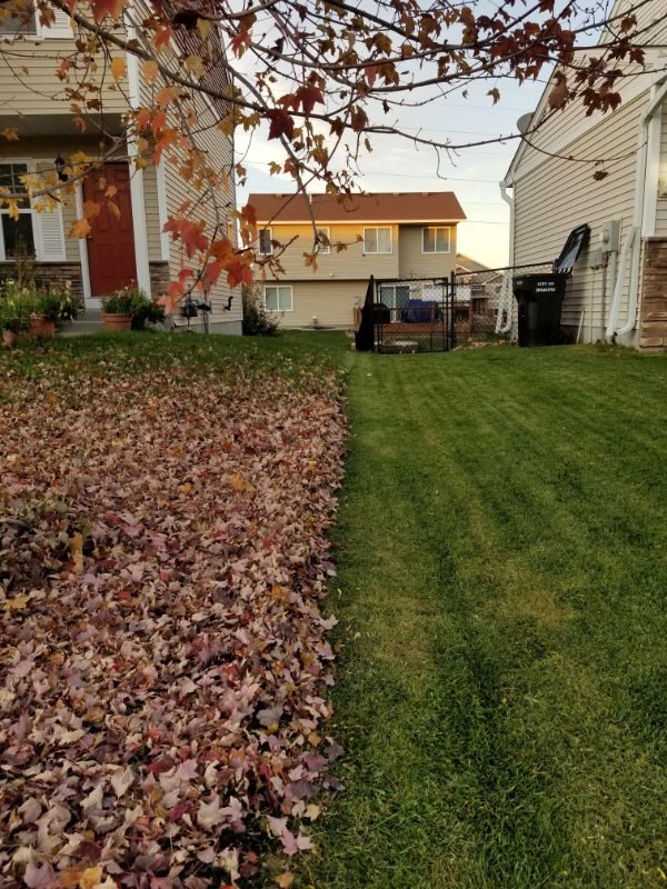 Photos For Perfectionists (20 pics)