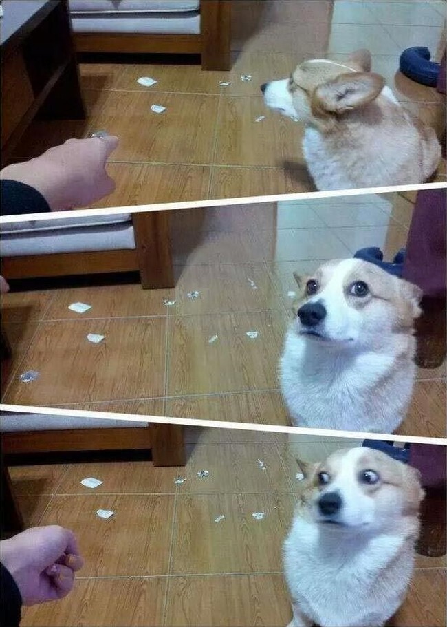 Funny ''Criminals'' (25 pics)