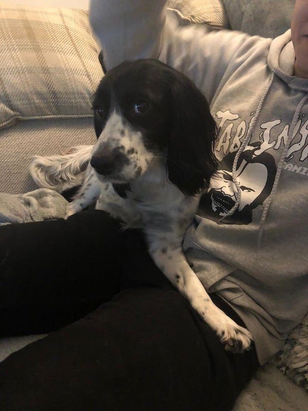 Optical Illusions (21 pics)