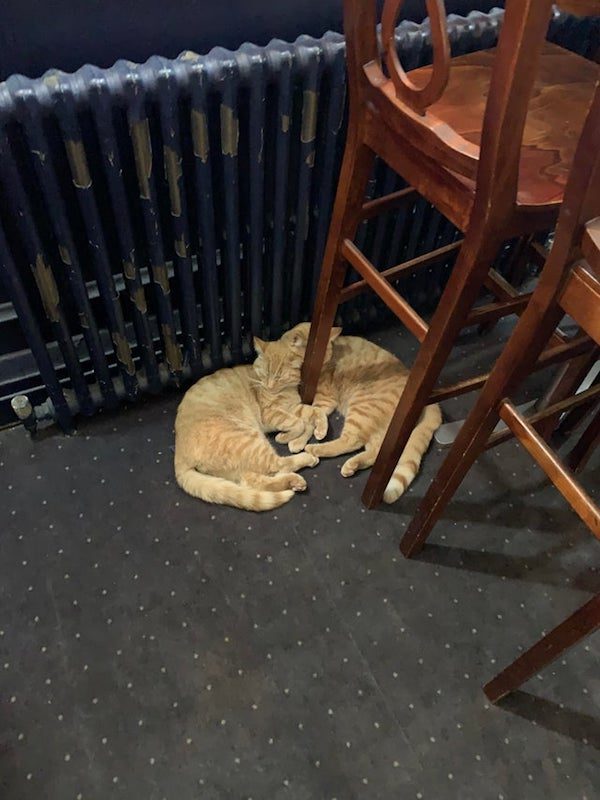 Optical Illusions (21 pics)