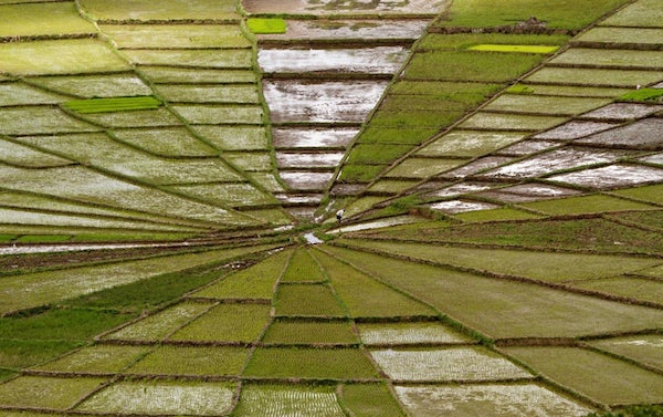 Optical Illusions (21 pics)