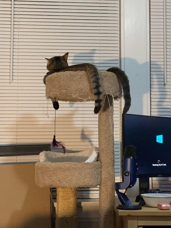 Optical Illusions (21 pics)