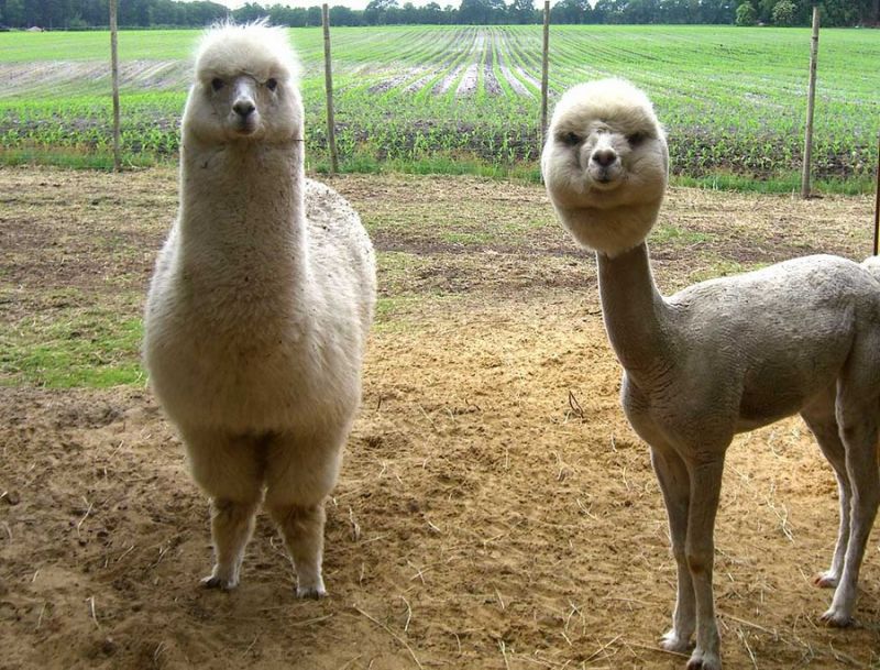 Daily Pictures. Part 1 (63 pics)