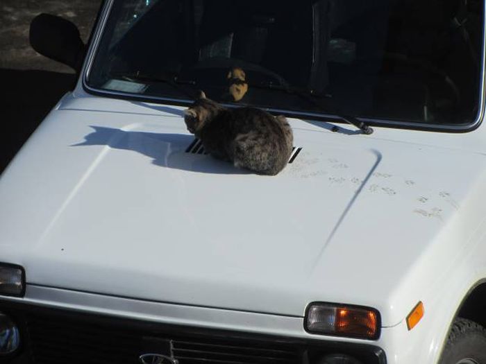 Daily Pictures. Part 1 (63 pics)