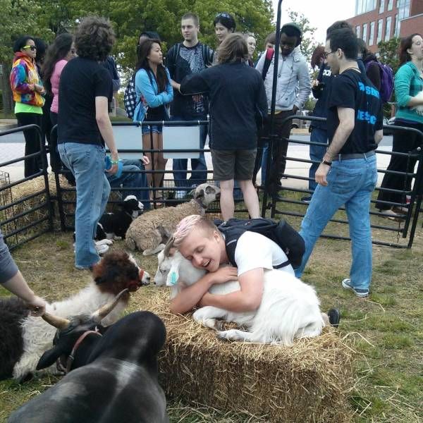 Daily Pictures. Part 1 (63 pics)