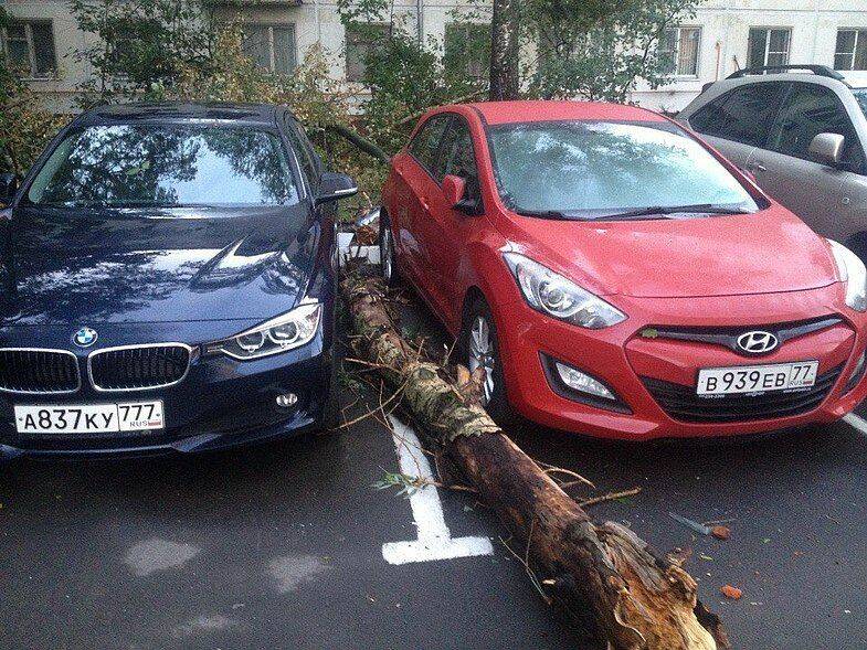 Daily Pictures. Part 1 (63 pics)