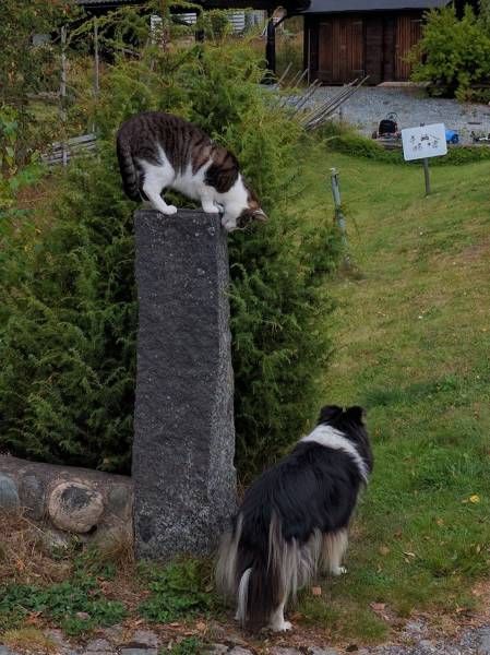 Daily Pictures. Part 1 (63 pics)