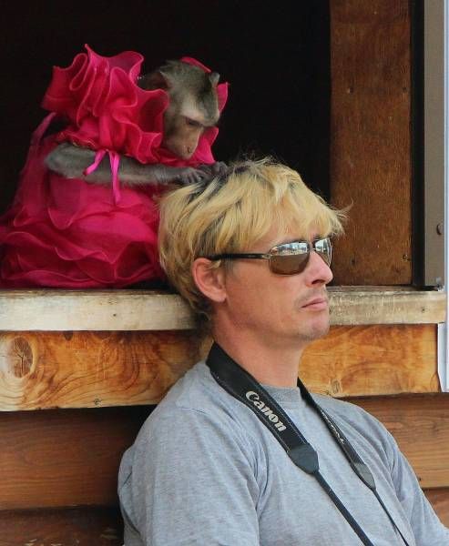 Daily Pictures. Part 1 (63 pics)