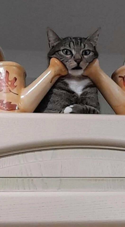 Daily Pictures. Part 1 (63 pics)