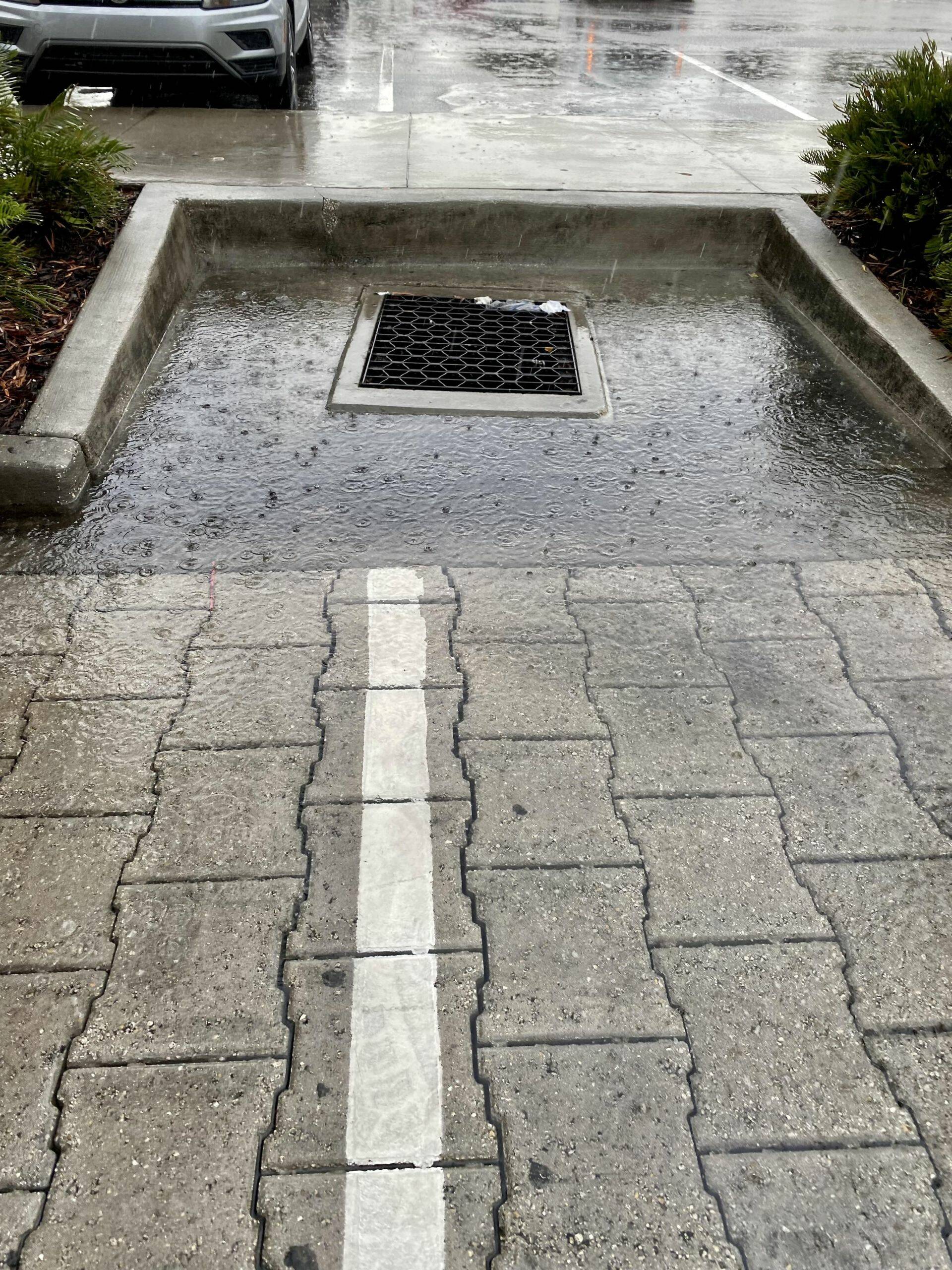 Daily Pictures. Part 2 (62 pics)