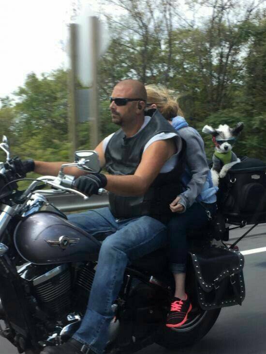 Daily Pictures. Part 1 (63 pics)