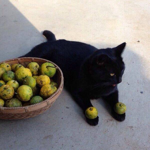 Daily Pictures. Part 1 (63 pics)