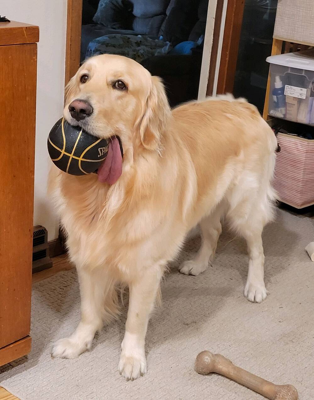 Daily Pictures. Part 1 (63 pics)