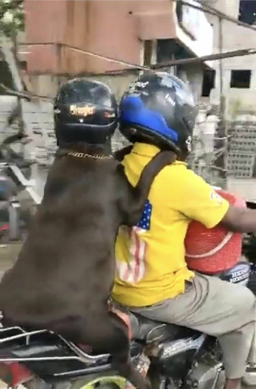 Daily Pictures. Part 2 (62 pics)